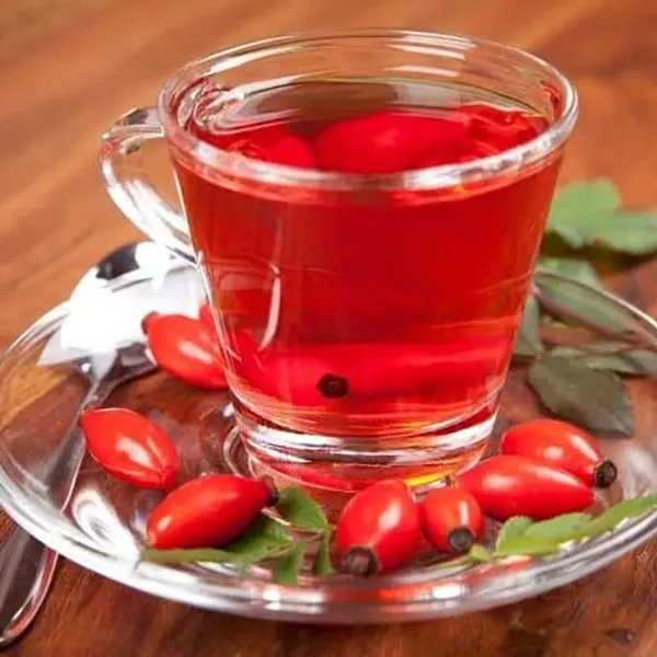 Kuş Burnu
